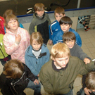 Bild _113__jpg-1274385272