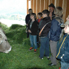 Bild _140__jpg-1274385311