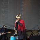 14028403.jpg