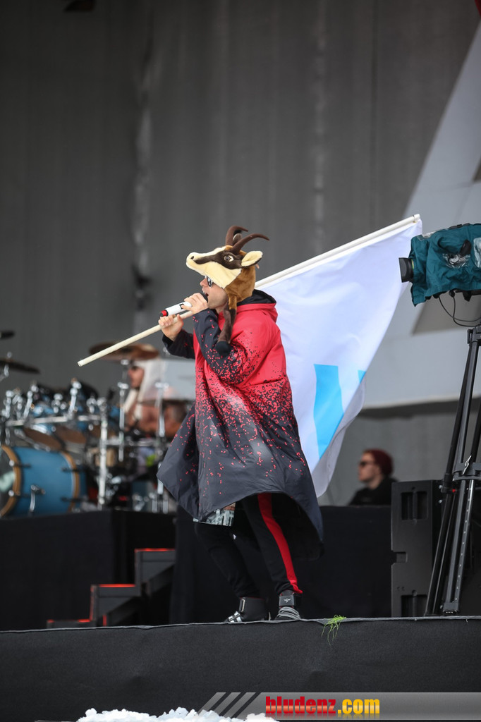 14028035.jpg