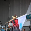 14028035.jpg