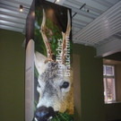 2015-04-22 16_52_43.jpg