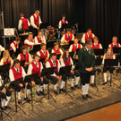 Fr__hjahrskonzert _16_.JPG