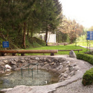 CIMG0014.JPG