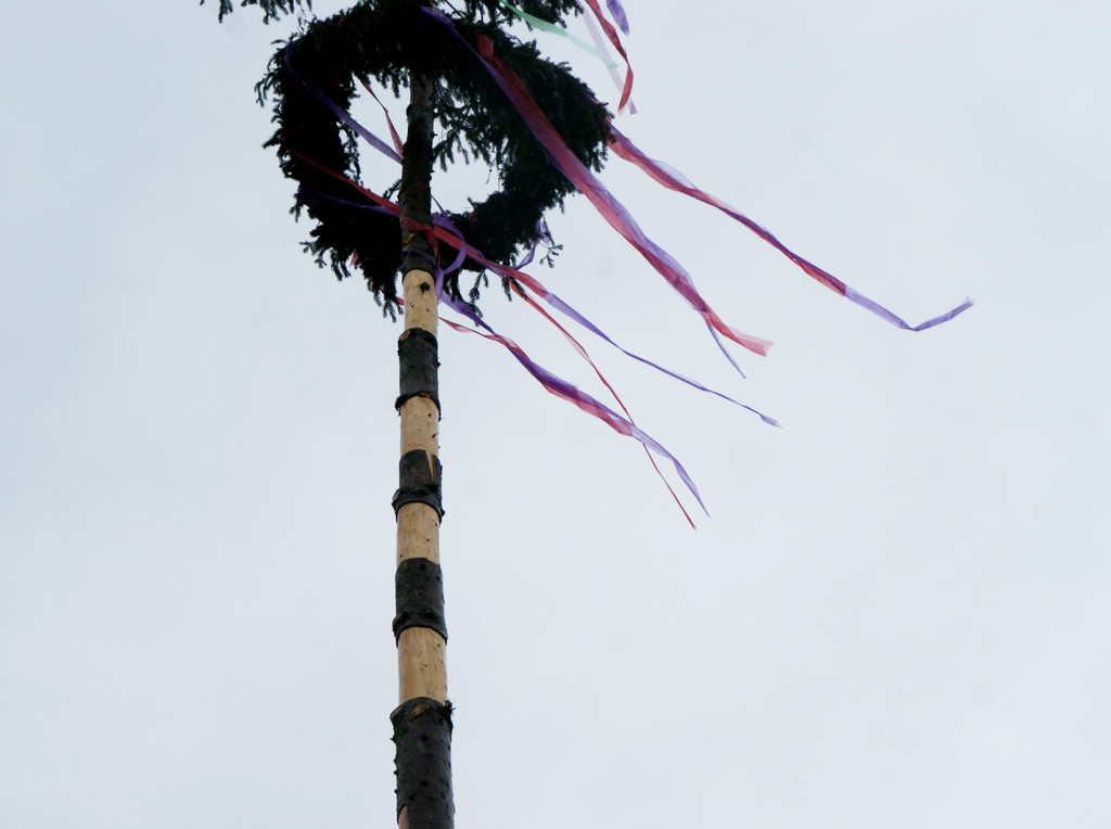 Der Maibaum trotzte Wind und Wetter.JPG