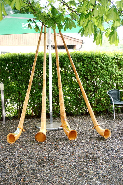 Die Montafoner Alph__rner.JPG