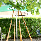 Die Montafoner Alph__rner.JPG