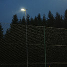 IMG_7966.JPG
