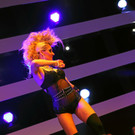 14029991.jpg