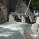 224-2461_IMG.JPG