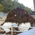 20031010 IMG_5457.JPG