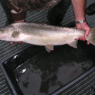 DSCN1111.JPG