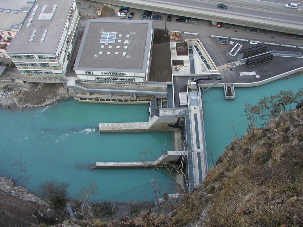 P3100050.JPG