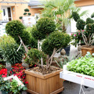 DSC07930.JPG