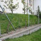 IMG_2951small.jpg