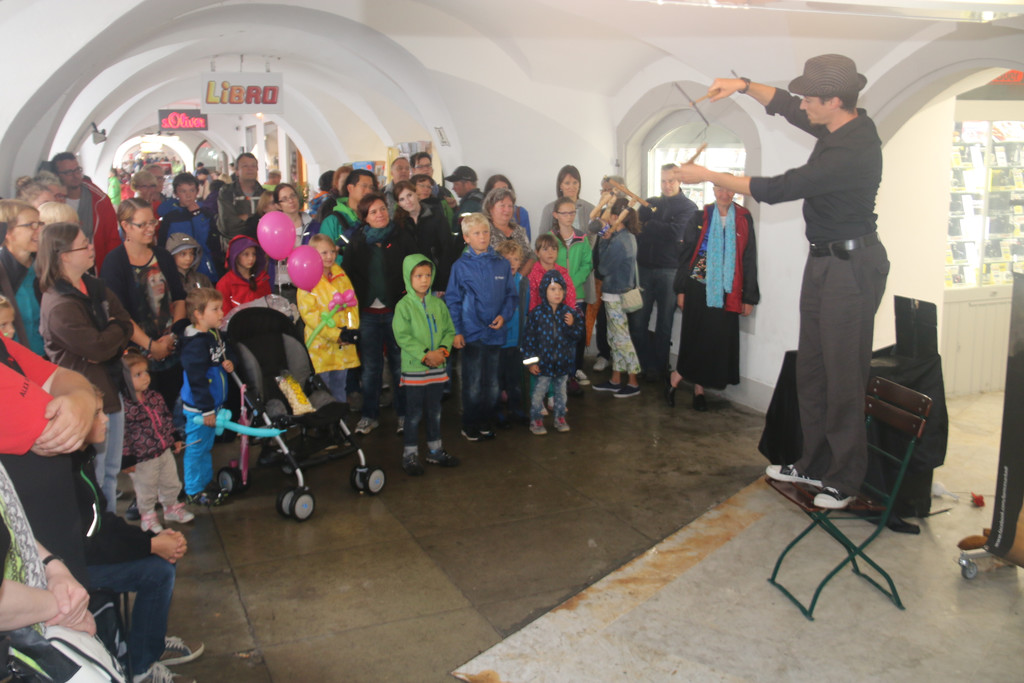 Gauklerfestival 2014.jpg