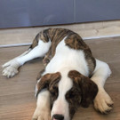 Mehr Bilder von Nico