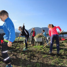 csm_DSC08853_c0825927e5.jpg
