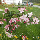 csm_DSCN3121_577366cbc2.jpg