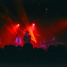 Wanda live