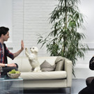 Purina_Presse 04.jpg