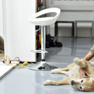 Purina_Presse 06.jpg