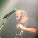 14032273.jpg