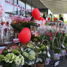 IMG_7835.jpg