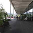 IMG_7838.jpg