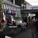 IMG_7874.jpg