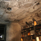 IMG_9615.JPG