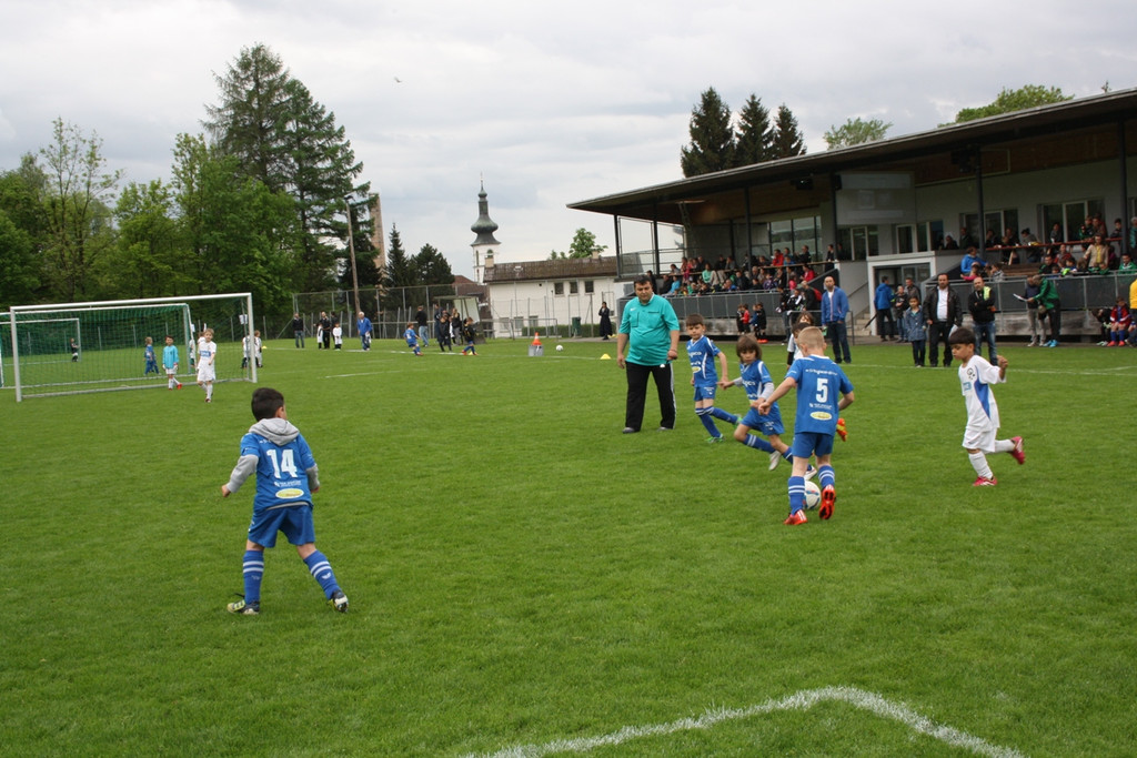 Fu__ball Nachwuchs U 7 Turnier 09-05-2015 _13_.JPG