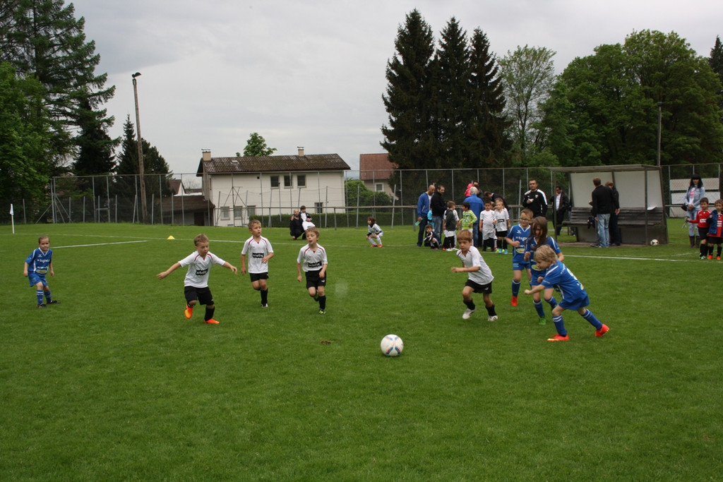 Fu__ball Nachwuchs U 7 Turnier 09-05-2015 _15_.JPG