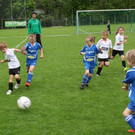 Fu__ball Nachwuchs U 7 Turnier 09-05-2015 _17_.JPG