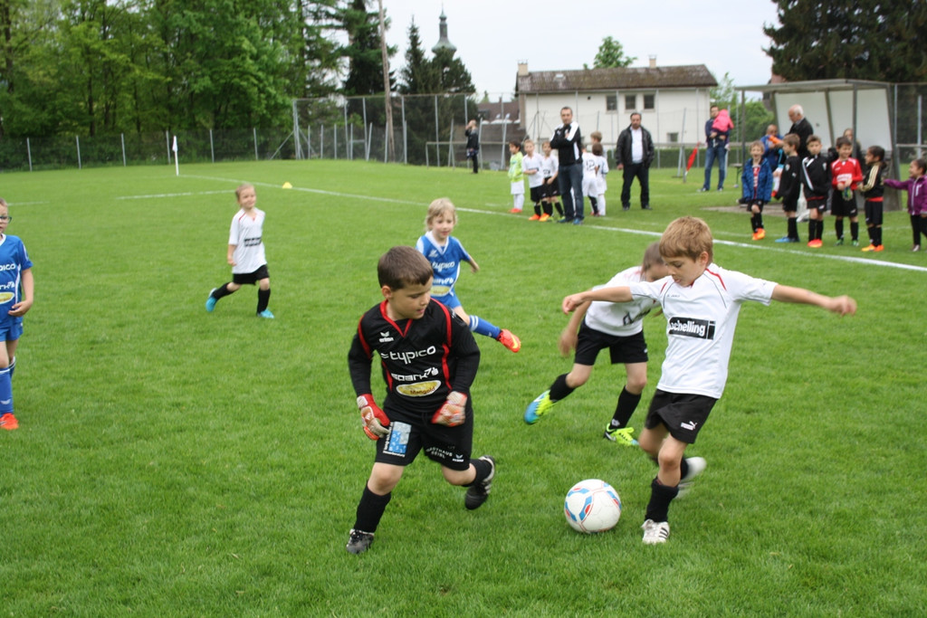Fu__ball Nachwuchs U 7 Turnier 09-05-2015 _18_.JPG