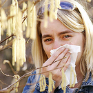 pollen.jpg