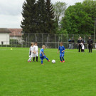 DSC03287.jpg