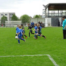 DSC03311.jpg