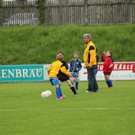 IMG_2238.jpg