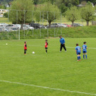 IMG_2245.jpg