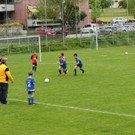 IMG_2246.jpg