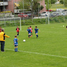 IMG_2247.jpg