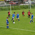 IMG_2248.jpg