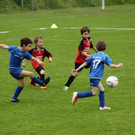 IMG_2250.jpg