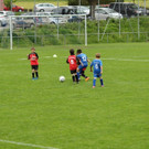 IMG_2254.jpg