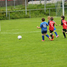 IMG_2260.jpg