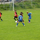 IMG_2267.jpg