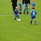 IMG_2285.jpg