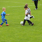 IMG_2287.jpg