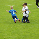 IMG_2288.jpg